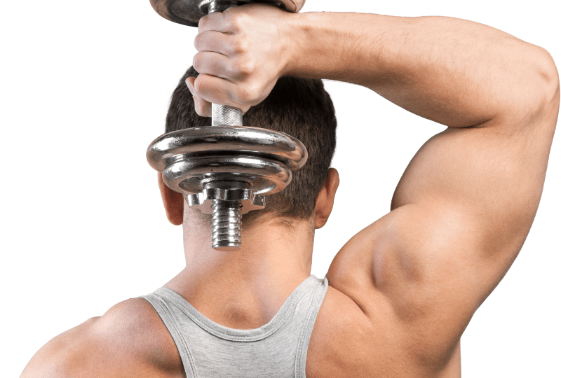 In diesem Leitfaden erfährst du, wie du Trizeps-Curls richtig ausführst. So erreichst du ein effizientes Trizeps-Training und formst starke Arme.